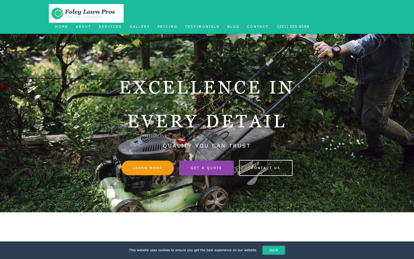 The 2019 Foley Lawn Pros template site: a generic hero that says Excellence In Every Detail over a stock photo, with three mismatched buttons